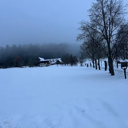 Kuenstlerwohnung * Markneukirchen